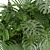 Indoor Jungle: Monstera & Palm Collection 3D model small image 3