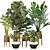 Green Haven Indoor Plant Set 3D model small image 1