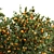 Fruit Tree Assets: Orange & Apple 3D model small image 2