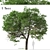 Evergreen Quercus Suber Tree 3D model small image 1
