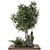 Garden Set 500 - Outdoor Greenery 3D model small image 6