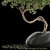 Green Oasis: 642 Plant Collection 3D model small image 3