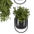 Modern Metal Hanging Plant Set 3D model small image 5