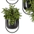 Modern Metal Hanging Plant Set 3D model small image 6