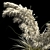 Pampas Bush 2013: V-Ray & Corona Compatible 3D model small image 2