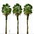 Coastal Carolina Palmetto Trees (2-Pack) 3D model small image 6