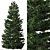 Cilician Fir Tree: Realistic Conifer for Landscapes 3D model small image 2
