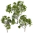 Varietal Quercus Tree: Download 3D Model 3D model small image 3