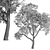 Varietal Quercus Tree: Download 3D Model 3D model small image 4