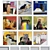 9-Piece Cat Meme Frame Set 3D model small image 1