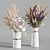  Pampas Bouquet Set Decor 3D model small image 1