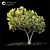 Corona Render 3D Landscape Tree 3D model small image 1