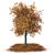 Autumn Butternut Tree 3D Model 3D model small image 1