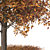 Autumn Butternut Tree 3D Model 3D model small image 2