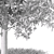 Autumn Butternut Tree 3D Model 3D model small image 4