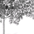  Majestic Butternut Tree Model 3D model small image 4