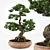 Miniature Bonsai Tree Replica 3D model small image 1