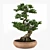 Miniature Bonsai Tree Replica 3D model small image 2