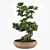 Miniature Bonsai Tree Replica 3D model small image 3