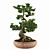 Miniature Bonsai Tree Replica 3D model small image 4