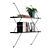 Architectural Two-Tier Wall Shelf 3D model small image 4