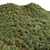 Variety Grass Collection with Plane 3D model small image 1