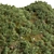 Variety Grass Collection with Plane 3D model small image 2