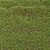 Corona Scatter Grass Collection Set 3D model small image 2