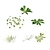 Corona Scatter Grass Collection Set 3D model small image 3