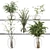 Glass Vase Indoor Plants Bouquet 3D model small image 1