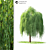 Lush Model Landscape Tree 3Ds 3D model small image 1