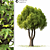 14m Land Scape Tree Model 3D model small image 3