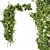 Premium Plant Collection for Outdoor Landscaping 3D model small image 2