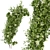 Premium Plant Collection for Outdoor Landscaping 3D model small image 4
