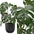 Tropical Monstera Houseplant 4K 3D model small image 7