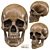 Low-Poly Skull 3D Model 3D model small image 1