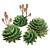 Spiral Aloe 3D Model Kit 3D model small image 2