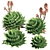 Spiral Aloe 3D Model Kit 3D model small image 4