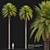 Canary Island Date Palm Trees 3D model small image 1