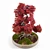 Miniature Bonsai Japanese Maple Tree 3D model small image 2