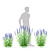 Veronica Longifolia Plant Collection 3D model small image 4