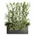 Bamboo Indoor Plant Set VI 3D model small image 1