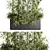 Bamboo Indoor Plant Set VI 3D model small image 2