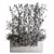Bamboo Indoor Plant Set VI 3D model small image 3