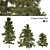 3 Cyprus Cedar Tree Models 3D model small image 1