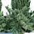 JuniPBR Outdoor Collection Vol. 99 3D model small image 2