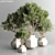 Stylish Indoor Plant Model 2015 3D model small image 1