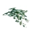 Indoor Plant 3D Model Archive 3D model small image 7