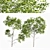 Variable Oak Tree Models Bundle 3D model small image 1