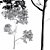 Variable Oak Tree Models Bundle 3D model small image 3